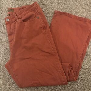 Judy Blue Terracotta Jeans